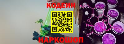 стаф Дубна