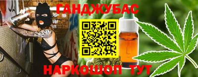 стаф Дубна
