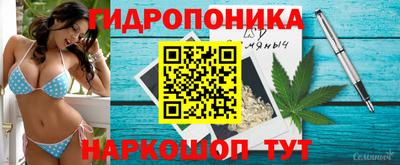 стаф Дубна