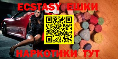 стаф Дубна