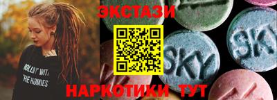 стаф Дубна