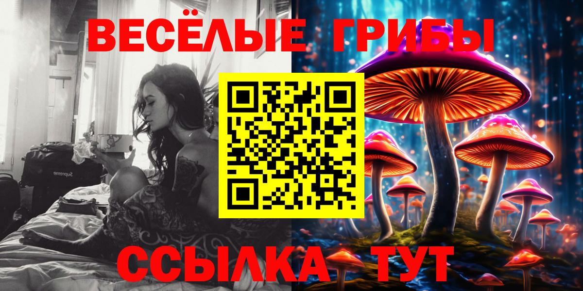 Галлюциногенные грибы Psilocybine cubensis Мирный