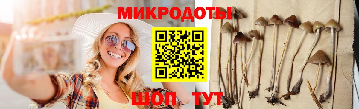 Мирный  Псилоцибиновые грибы Magic Shrooms  Вход с VPN  Псилоцибиновые грибы ЛСД 
